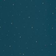 Papier peint intissé Under The Stars bleu nuit - LA FORÊT - Caselio - FRT102966645