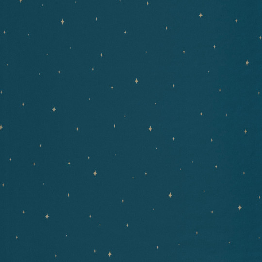 Papier peint intissé Under The Stars bleu nuit - LA FORÊT - Caselio - FRT102966645