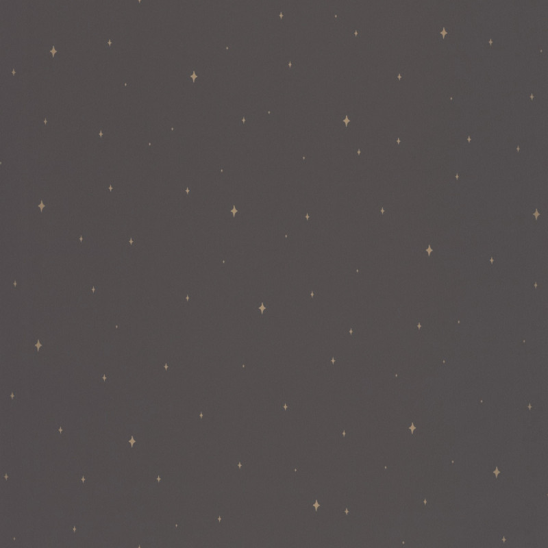 Papier peint intissé Under The Stars noir - LA FORÊT - Caselio - FRT102969983
