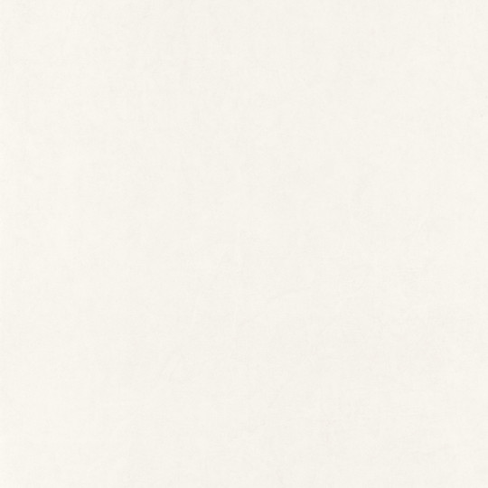 Papier peint intissé Florescence Kiosque uni beige - ARTS & CRAFTS - Caselio - ARCR82381141