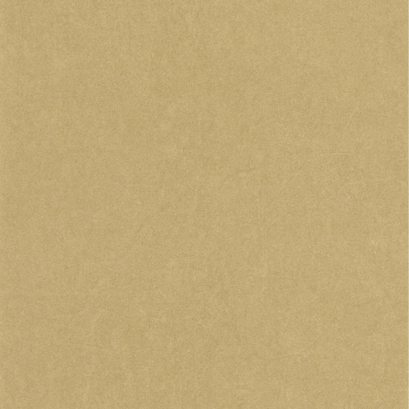 Papier peint intissé Florescence Kiosque beige camel - ARTS & CRAFTS - Caselio - ARCR82381232