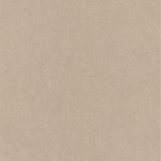 Papier peint intissé Florescence Kiosque uni beige - ARTS & CRAFTS - Caselio - ARCR82381313