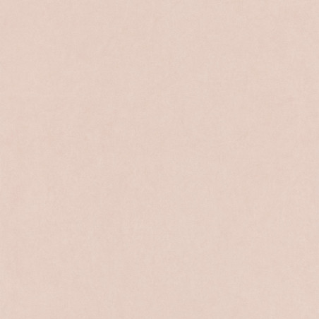 Papier peint intissé Florescence Kiosque uni nude - ARTS & CRAFTS - Caselio - ARCR82384130