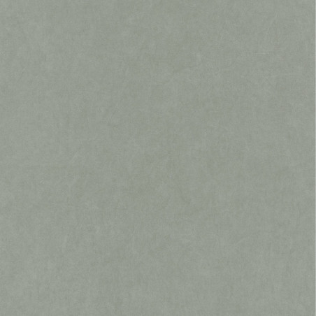 Papier peint intissé Florescence Kiosque uni amande - ARTS & CRAFTS - Caselio - ARCR82387117