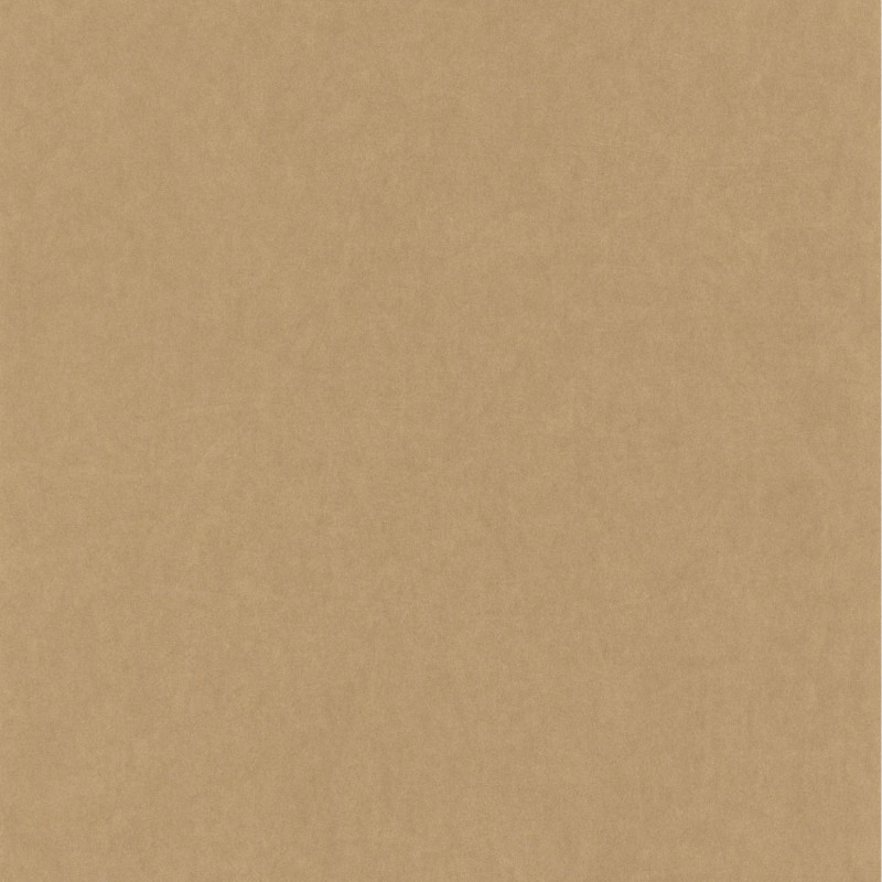Papier peint intissé Oxford Lewis uni beige - ARTS & CRAFTS - Caselio - ARCR84071424