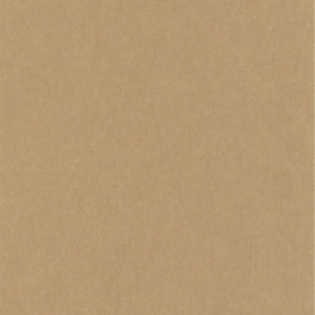 Papier peint intissé Oxford Lewis uni beige - ARTS & CRAFTS - Caselio - ARCR84071424