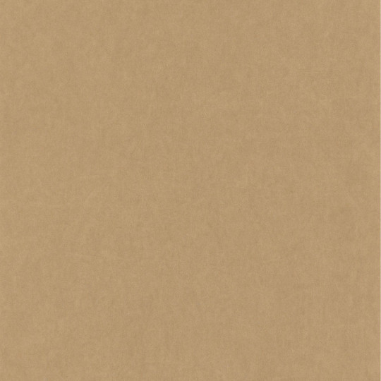 Papier peint intissé Oxford Lewis uni beige - ARTS & CRAFTS - Caselio - ARCR84071424