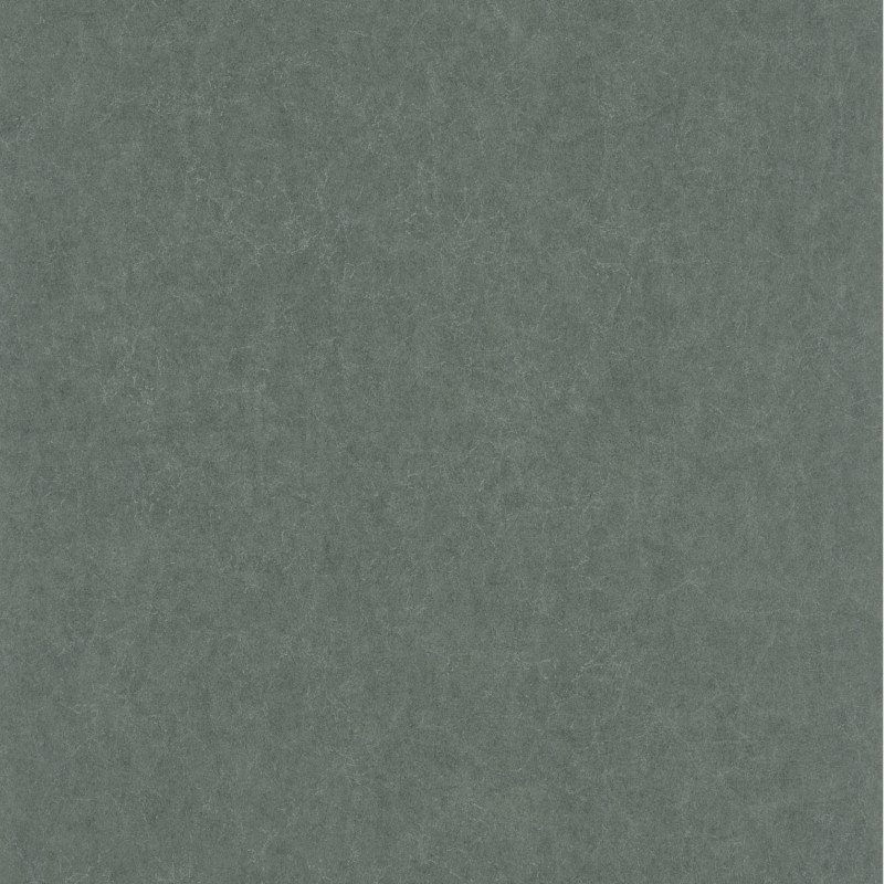 Papier peint intissé Oxford Lewis uni kaki - ARTS & CRAFTS - Caselio - ARCR84077414