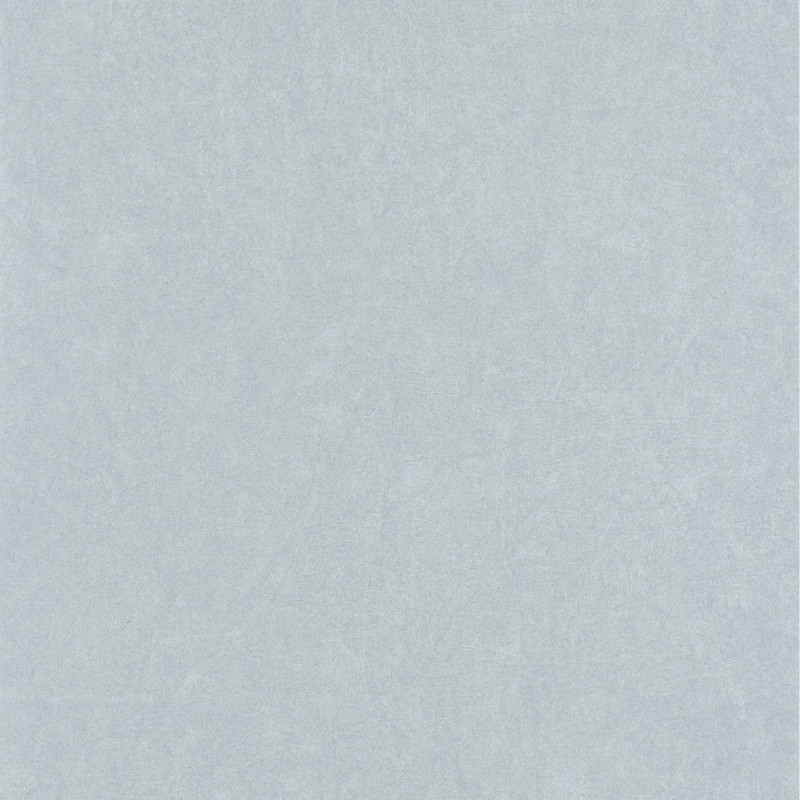 Papier peint intissé Florescence Kiosque uni gris bleuté - ARTS & CRAFTS - Caselio - ARCR82389338