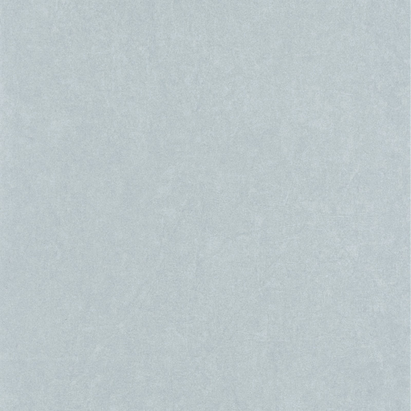 Papier peint intissé Florescence Kiosque uni gris bleuté - ARTS & CRAFTS - Caselio - ARCR82389338