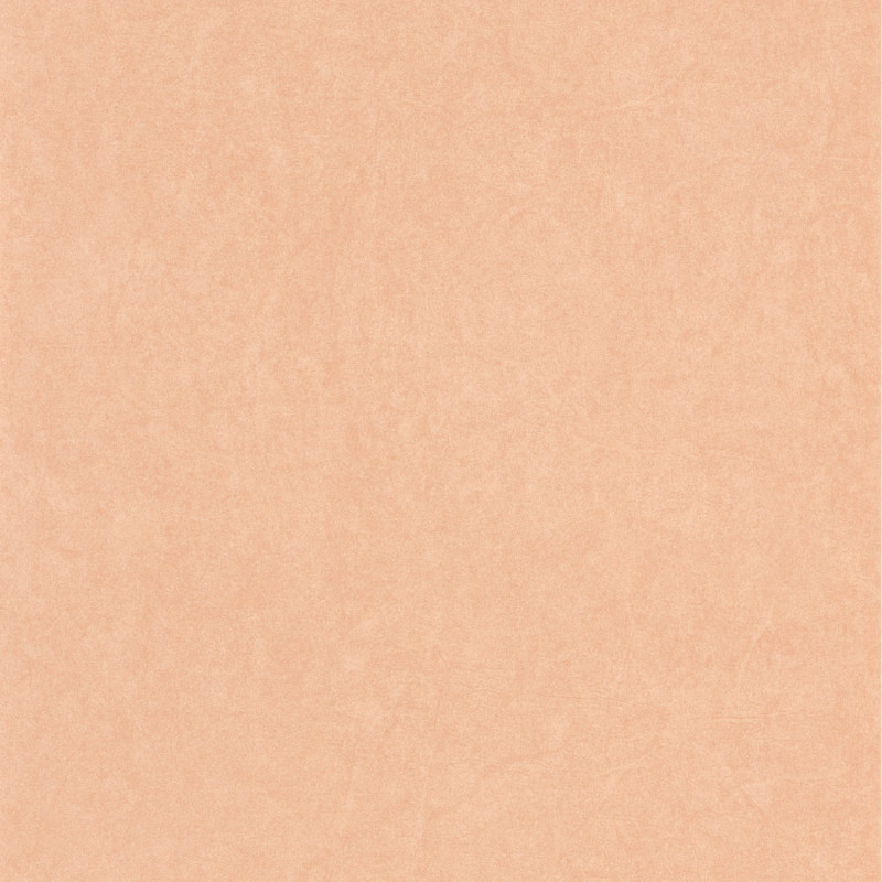 Papier peint intissé Florescence Kiosque uni terracotta - ARTS & CRAFTS - Caselio - ARCR82388430