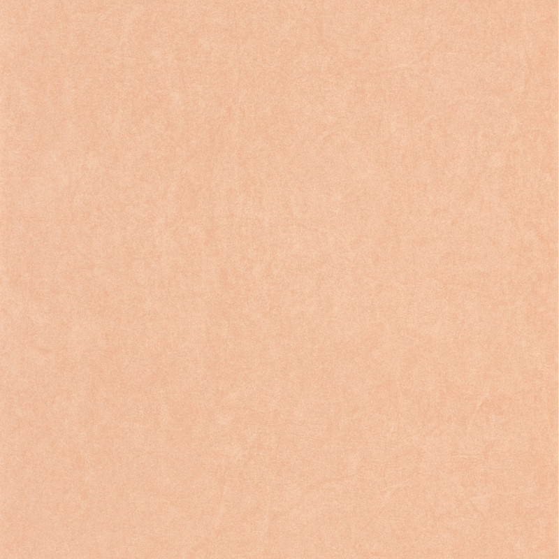 Papier peint intissé Florescence Kiosque uni terracotta - ARTS & CRAFTS - Caselio - ARCR82388430