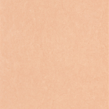 Papier peint intissé Florescence Kiosque uni terracotta - ARTS & CRAFTS - Caselio - ARCR82388430