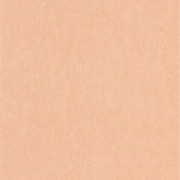 Papier peint intissé Florescence Kiosque uni terracotta - ARTS & CRAFTS - Casadeco - ARCR82388430