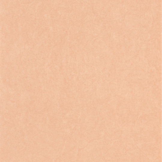 Papier peint intissé Florescence Kiosque uni terracotta - ARTS & CRAFTS - Caselio - ARCR82388430