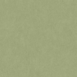 Papier peint intissé Cotton Touch uni vert cactus - MEDITERRANEE - Casadeco - MEDI82387512