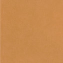 Papier peint intissé Life uni camel - YOUNG & FREE - Caselio - YNF64522100
