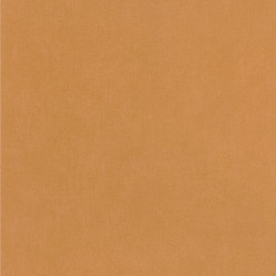 Papier peint intissé Life uni camel - YOUNG & FREE - Caselio - YNF64522100