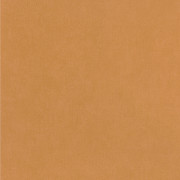Papier peint intissé Life uni camel - YOUNG & FREE - Caselio - YNF64522100