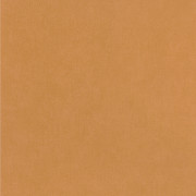 Papier peint intissé Life uni camel - YOUNG & FREE - Caselio - YNF64522100