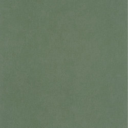 Papier peint intissé Life uni kaki - YOUNG & FREE - Caselio - YNF64524044