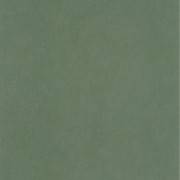 Papier peint intissé Life uni kaki - YOUNG & FREE - Caselio - YNF64524044