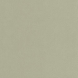 Papier peint intissé Life uni vert amande - YOUNG & FREE - Caselio - YNF64527210