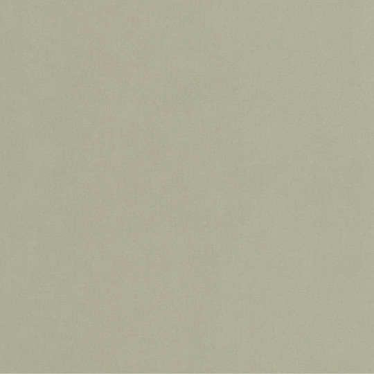 Papier peint intissé Life uni vert amande - YOUNG & FREE - Caselio - YNF64527210