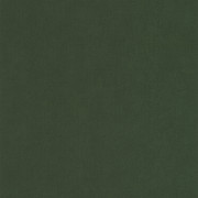 Papier peint intissé Life uni vert kaki - YOUNG & FREE - Caselio - YNF64527370