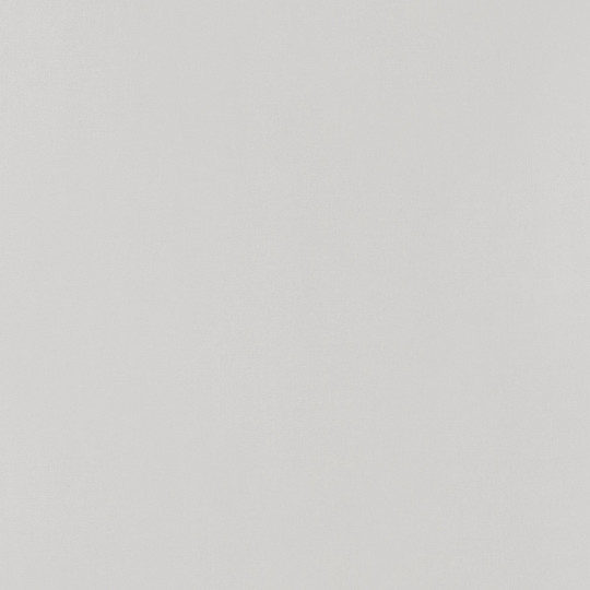 Papier peint intissé Life uni gris - YOUNG & FREE - Caselio - YNF64529162