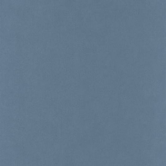 Papier peint intissé Life uni bleu gris - YOUNG & FREE - Caselio - YNF64529368