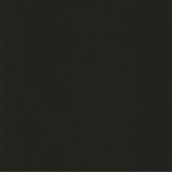 Papier peint intissé Life uni noir - YOUNG & FREE - Caselio - YNF64529800