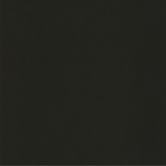 Papier peint intissé Life uni noir - YOUNG & FREE - Caselio - YNF64529800