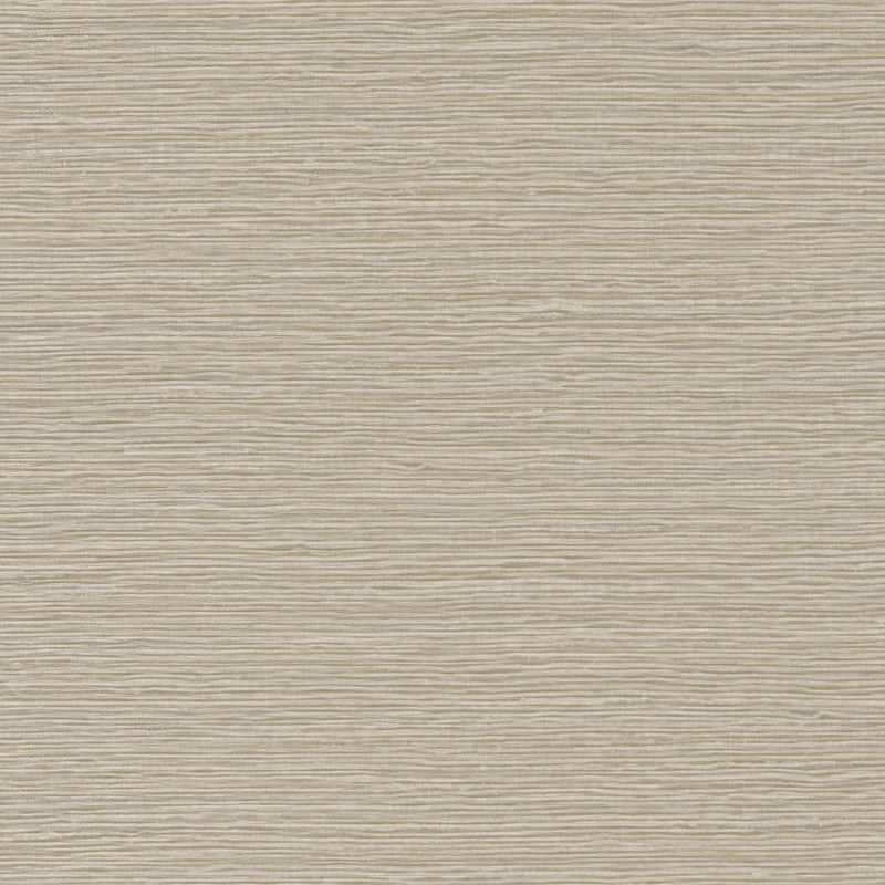 Papier peint uni Malacca gris galet - AVENTURA - Casamance - 74640610