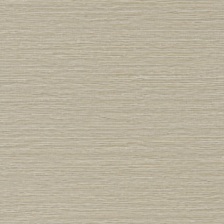 Papier peint uni Malacca gris galet - AVENTURA - Casamance - 74640610