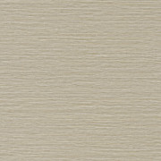 Papier peint uni Malacca gris galet - AVENTURA - Casamance - 74640610