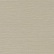 Papier peint uni Malacca gris galet - AVENTURA - Casamance - 74640610