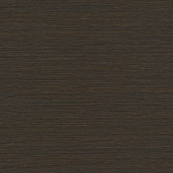 Papier peint uni Malacca noir ébène - AVENTURA - Casamance - 74640916