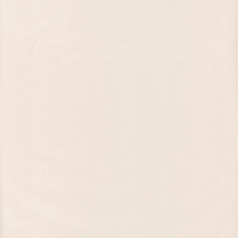 Papier peint intissé Smile Uni beige - AUTOUR DU MONDE - Caselio - ADM69861303