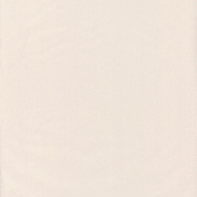 Papier peint intissé Smile Uni beige - AUTOUR DU MONDE - Caselio - ADM69861303
