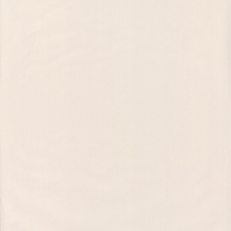 Papier peint intissé Smile Uni beige - AUTOUR DU MONDE - Caselio - ADM69861303