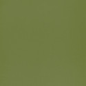 Papier peint intissé Smile Uni vert mousse - AUTOUR DU MONDE - Caselio - ADM69867313