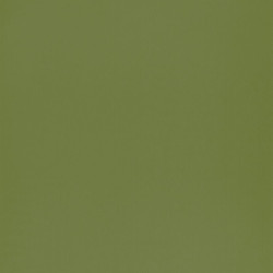 Papier peint intissé Smile Uni vert mousse - AUTOUR DU MONDE - Caselio - ADM69867313