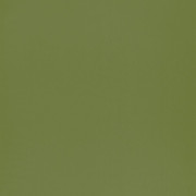 Papier peint intissé Smile Uni vert mousse - AUTOUR DU MONDE - Caselio - ADM69867313