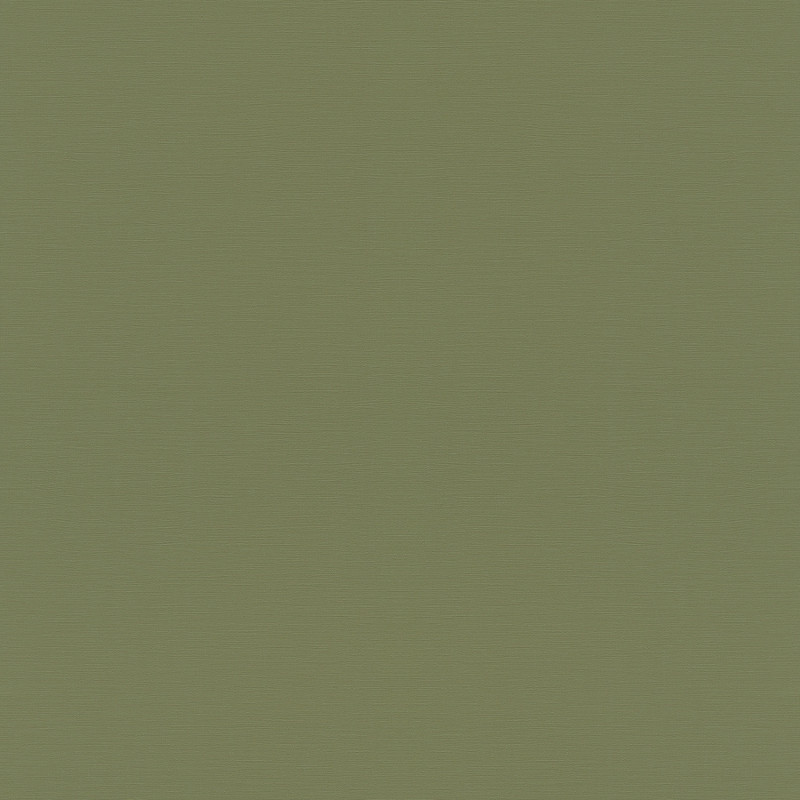 Papier peint intissé uni TROPICAL HOUSE kaki - Rasch 687538