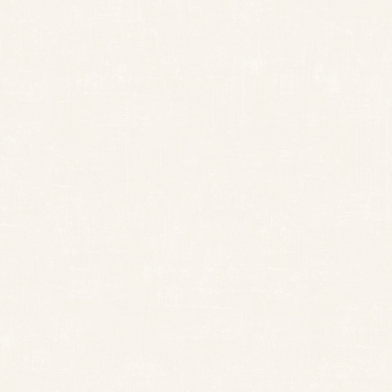 Papier peint basic blanc - COULEUR 2 - Ugepa - M61100