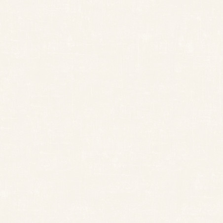 Papier peint basic blanc - COULEUR 2 - Ugepa - M61100