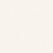 Papier peint basic blanc - COULEUR 2 - Ugepa - M61100