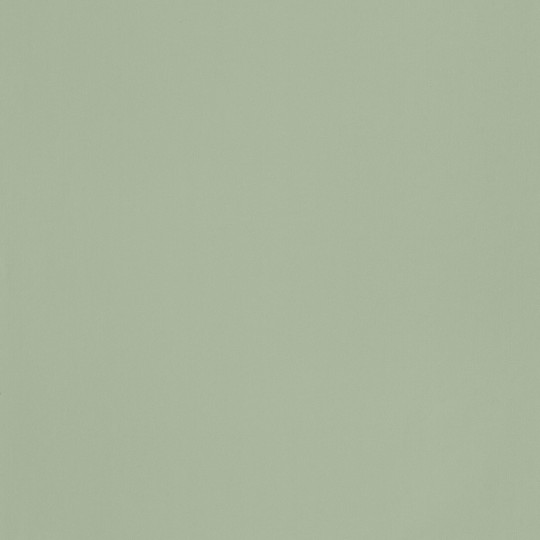 Papier Peint intissé Smile uni vert de gris - ONCE UPON A TIME - Casadeco - OUAT69867200