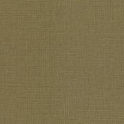 Papier Peint intissé uni mat kaki - HAPPY THERAPY - Caselio - HTH104017342